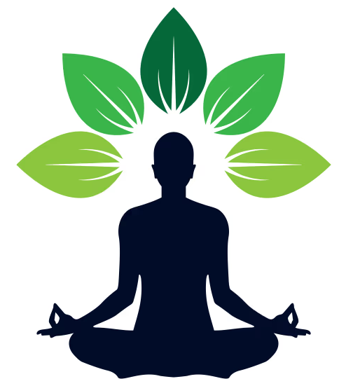 Yoga & Meditation classes